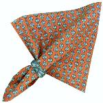 Provencal cotton napkin "Bastide" Terracotta