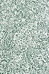 High quality Green Kitchen Towel, 18 x 29, Gargas design